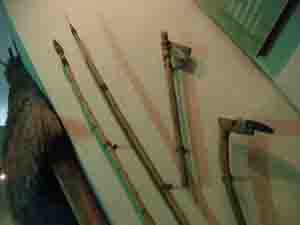 ����ģ��